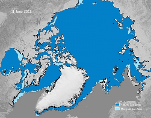 Disminuye la cubierta de hielo marino en el Ártico