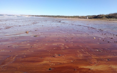 La Paloma: el Municipio busca implementar sistema para secar la arena de algunas playas