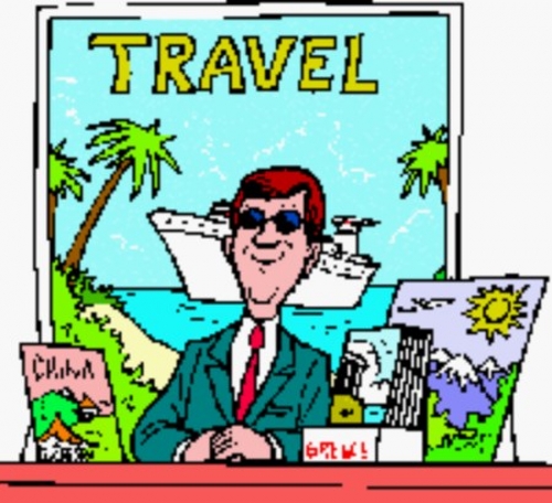 ¿Cuál es el nivel de profesionalismo de los agentes de viajes?
