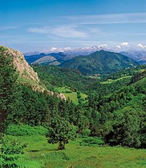 Asturias, ya están tardando