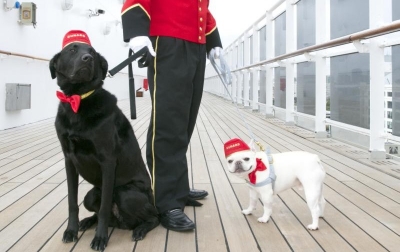 Queen Mary 2: de crucero con el perro