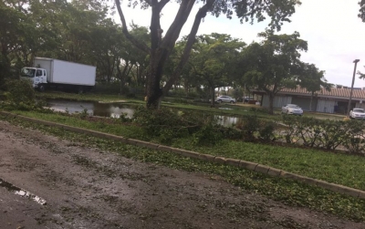 El día después del pasaje del huracán Irma por Miami