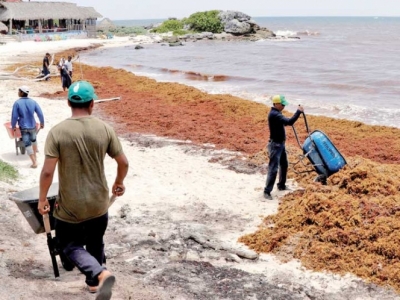 En Tulum, la limpieza de playas llega a realizarse hasta dos veces al día. El sargazo impide actividades acuáticas porque se afecta la maquinaria de los equipos. Foto: Reuters/Archivo