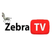 zebratv-durazno