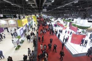 FITUR 2023 se supera de nuevo con fuertes crecimientos en todos sus par&aacute;metros