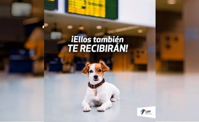 Aeropuerto Jorge Chávez permite ingreso de mascotas a sus instalaciones