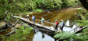 Sernatur invita a concursar por viajes dentro de Chile a trav&eacute;s del desaf&iacute;o &ldquo;TaxiTour&rdquo;