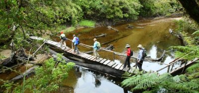 Sernatur invita a concursar por viajes dentro de Chile a través del desafío “TaxiTour”