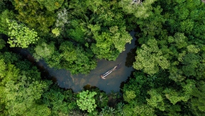 Selva Tropical del Amazonas (Sudamérica)