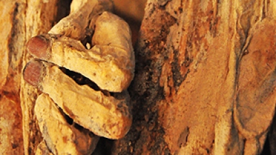 La falta de humedad alrededor de Quillagua contribuyó a la momificación.