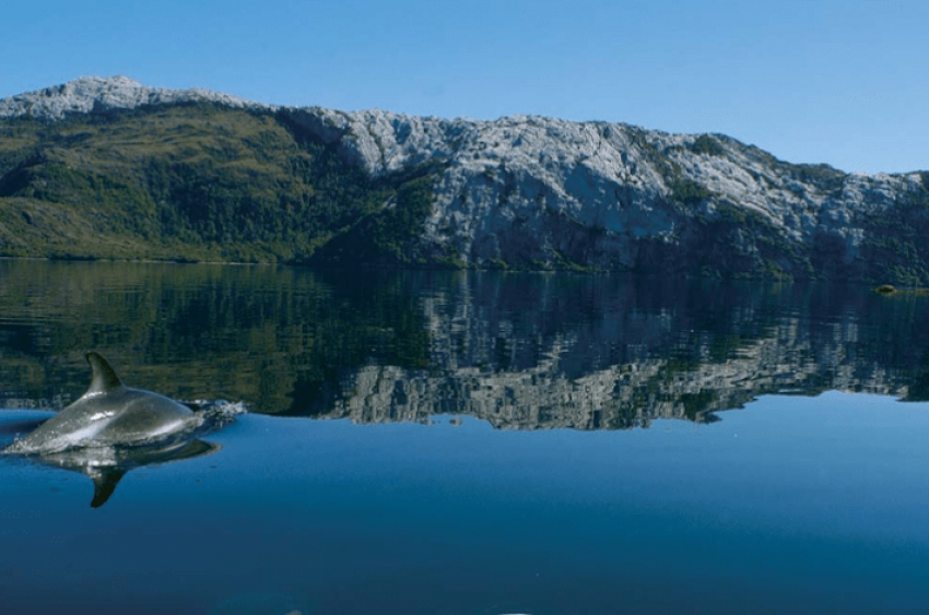 Llamado a empresarios turisticos chilenos para becas de capacitaci&oacute;n