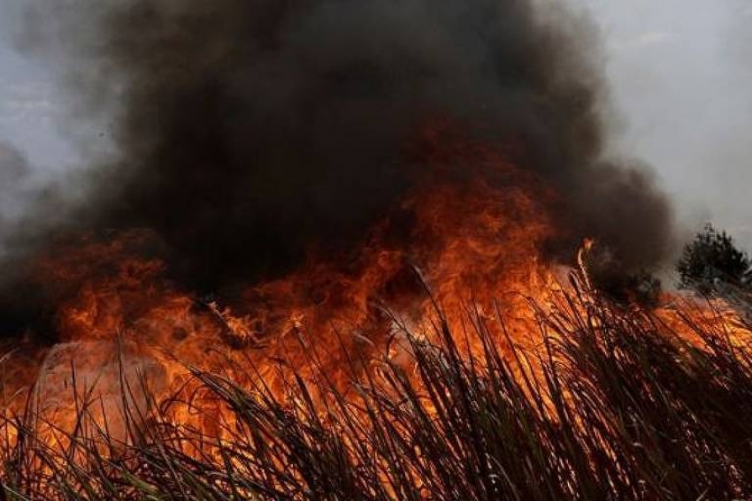 Quemas en la Amazonia