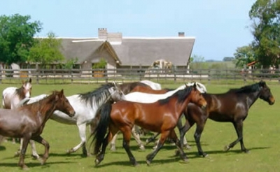 Es un negocio el turismo rural?