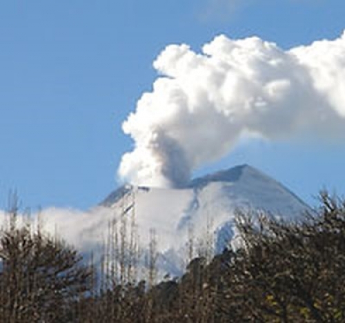 Se constituy&oacute; la nueva comisi&oacute;n directiva de la C&aacute;mara Uruguaya de Turismo