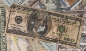 Inexplicables desinteligencias