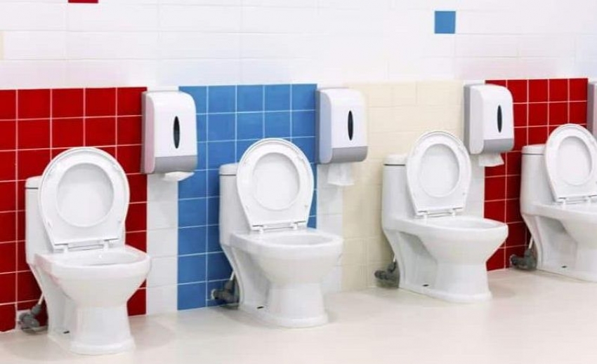 D&iacute;a Mundial del Retrete, 19 de noviembre de 2019