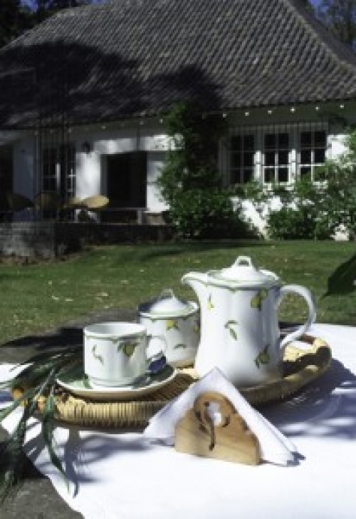 Gastronomía con aire campestre