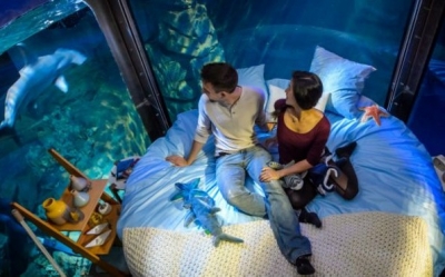 Con Airbnb puedes alquilar viviendas en todo el mundo.