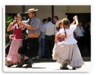 Fiesta Nacional del Chamamé 2013