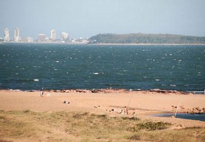 Billetera mata paisaje