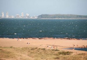 Billetera mata paisaje