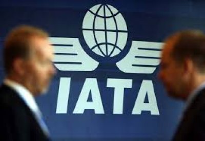 IATA mejora la previsi&oacute;n de ganancias para las aerol&iacute;neas en 2013 y 2014