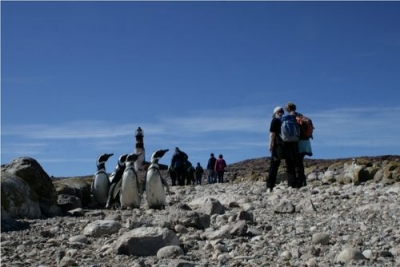   Puerto Deseado es destino para turistas exigentes