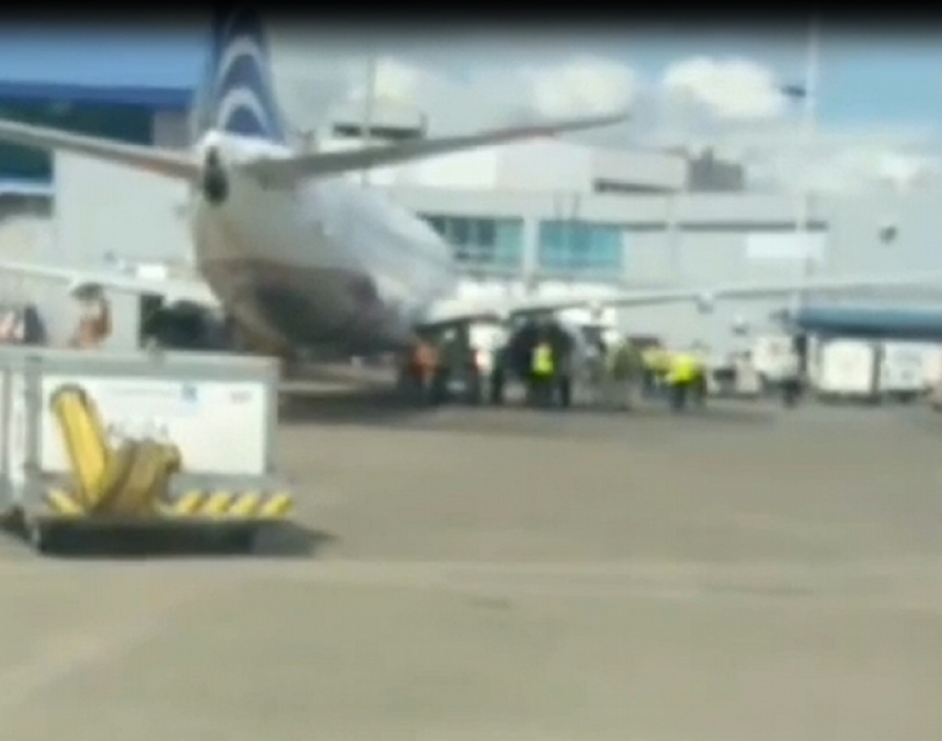 Debido a ingestión de un ave en un motor, retornó a Tocumen avión de Copa Airlines