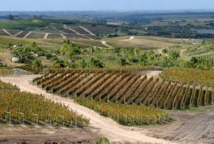 Maldonado tiembla al ritmo del viento