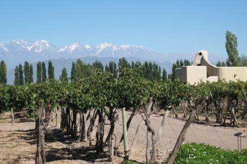 Recorrida por la Ruta del Vino argentino