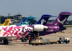 Pluna: hay siete interesados en aviones