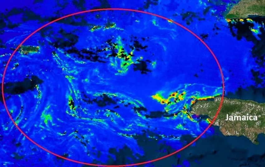 Imagen satelital sobre la mancha de sargazo en el mar Caribe.As&iacute; se ve desde el espacio la gigantesca mancha de sargazo que amenaza con llegar a las costas de M&eacute;xico