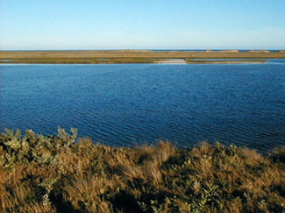 Maldonado y Rocha: Gobierno valoró opinión de intendencias para la construcción de puente Garzón