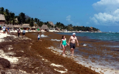 Desesperaci&oacute;n de los hoteleros de Riviera Maya por el sargazo