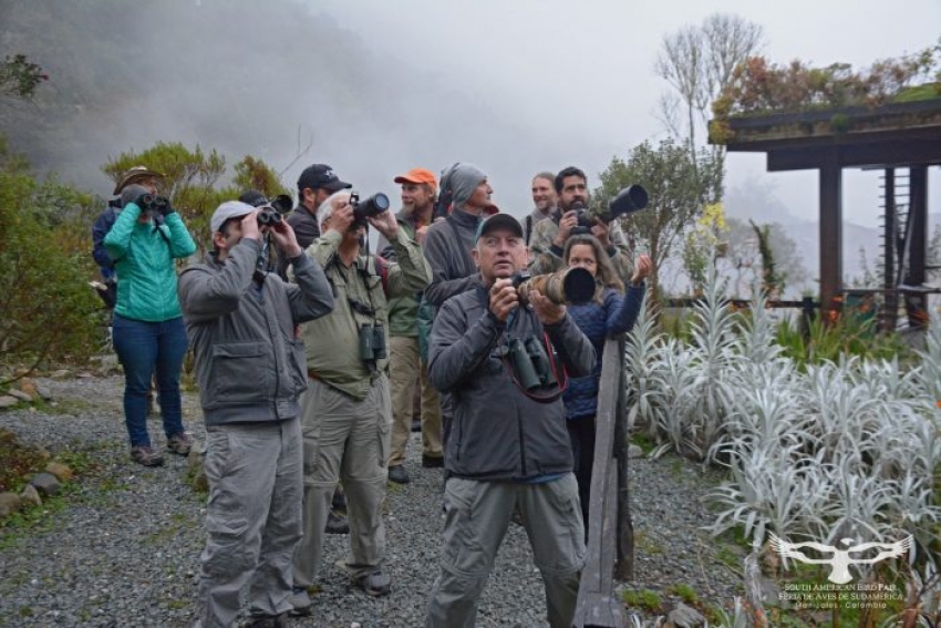 Agenda de actividades en Maldonado entre el 30 de octubre y el 5 de noviembre de 2019
