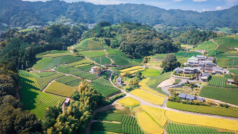 Qué ver en Japón más allá de Tokio, Kioto y Osaka