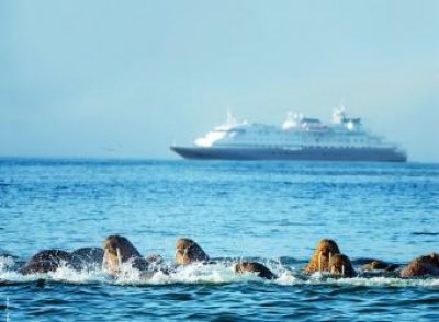 Llega a Cartagena el crucero MSC Diana