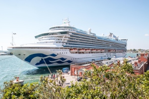 Norovirus en el Caribbean Princess: el virus "estomacal" y "de los cruceros"