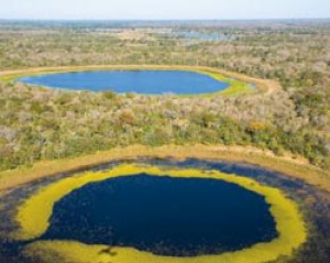 Brasil: El mayor santuario ecol&oacute;gico del mundo