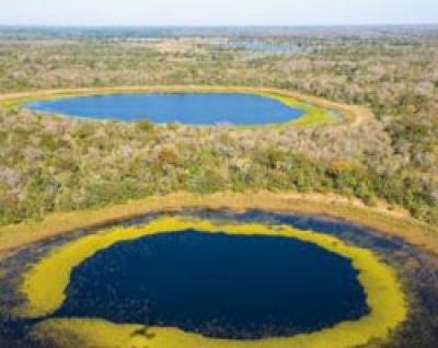 Brasil: El mayor santuario ecol&oacute;gico del mundo