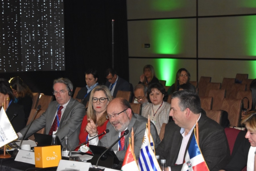 Galer&iacute;a de im&aacute;genes de  Fiexpo 2019