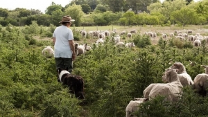 Mintur convoca a mujeres rurales en el sector tur&iacute;stico de todo el territorio uruguayo