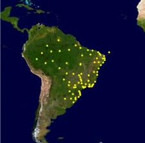 Brasil recibe el 38% de los vuelos de largo radio que llegan a Latinoam&eacute;rica
