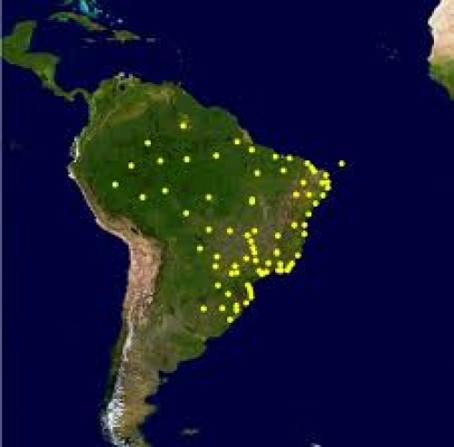 Brasil recibe el 38% de los vuelos de largo radio que llegan a Latinoam&eacute;rica