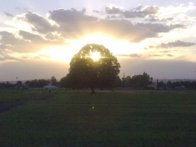 La sociedad mundial en vísperas