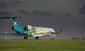 Divulgarán antes de la subasta las condiciones para nuevas líneas