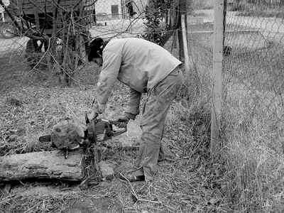 Están haciendo leña, hay un árbol caído...