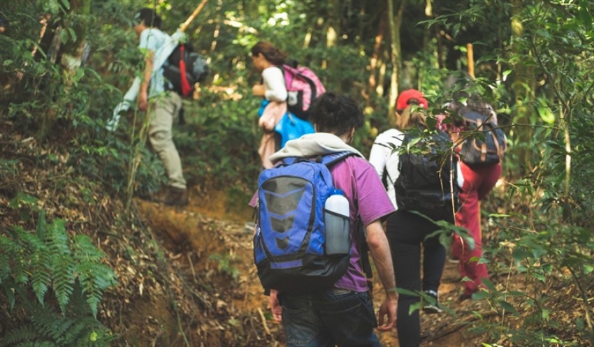 Gobierno chileno destina m&aacute;s de dos mil millones de pesos para paliar crisis de gu&iacute;as de turismo a causa del covid-19