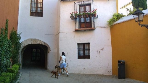 Calle Juder&iacute;a, junto al Alc&aacute;zar