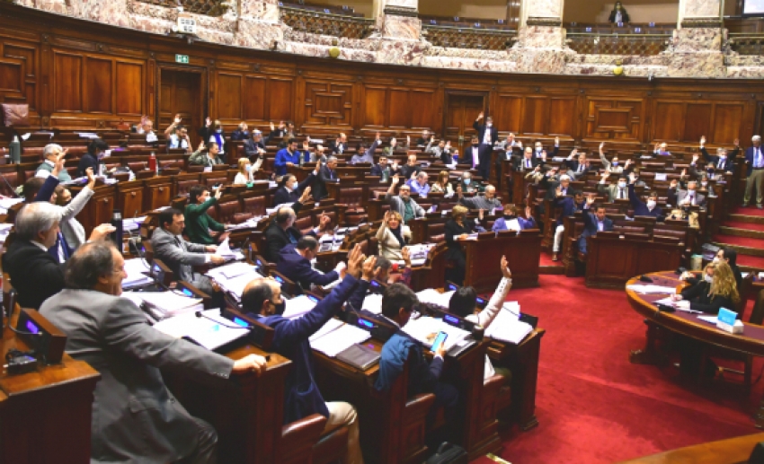 Legisladores votando en la C&aacute;mara de Diputados.